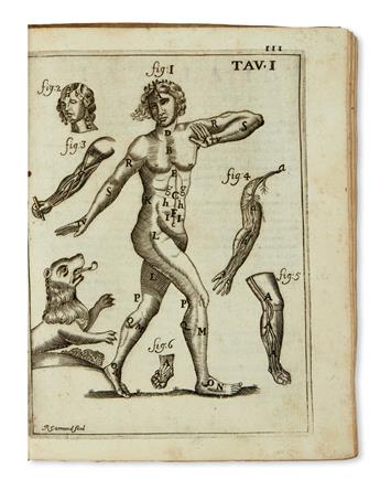 MEDICINE  PASCOLI, ALESSANDRO. Il Corpo-Umano [with Giorgio Baglivi, Tractatus de fibra motrice].  1700